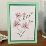 freesia